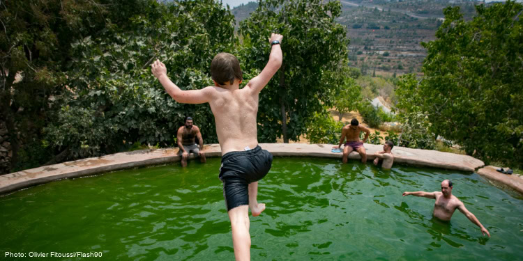 Children swimming and playing in a green outdoor pool with lush trees in the background.