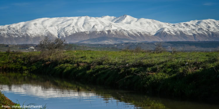 Snow-capped mountains with lush green fields and a calm river in the foreground.
