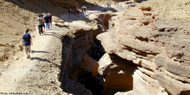 People hiking through a rugged desert canyon with layered rock formations and narrow pathways.