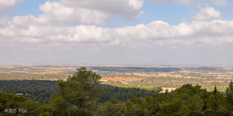 Scenic landscape with trees, fields, clouds, and sky