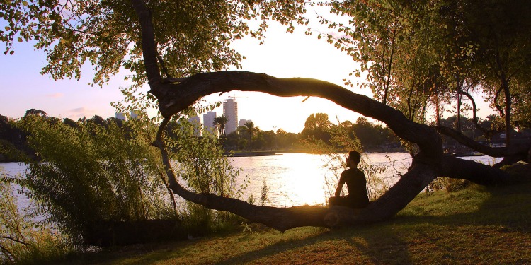 Man sitting on a tree next to a body of water.