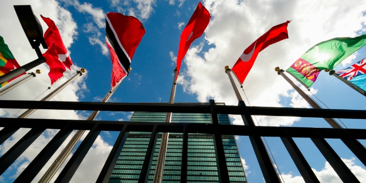 Several flags flying in the air alongside a green glass building.