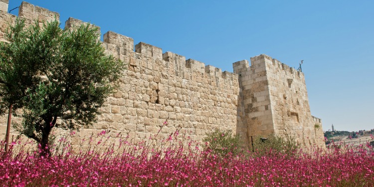 A brick wall with one tree and a garden of pink flowers in front of it.