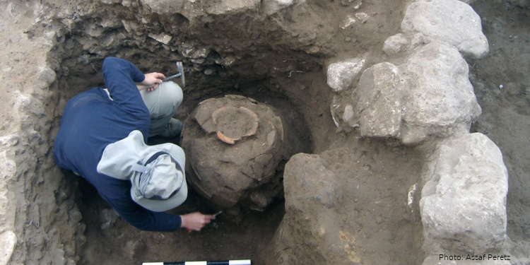 ROAD WIDENING REVEALS 10,000 YEAR OLD HOUSE Dateline: Eshta'ol. 25 November 2013 The first picture shows an aerial view of the large excavation along Highway 38 near Beit Shemesh. (241U1) The second picture shows a 10,000 year-old house, the oldest dwelling to be unearthed to date in the Judean Shephelah. (241U2) The third picture shows a standing stone (mazzev) which is worked on all of its sides. This is evidence of cultic activity in the Chalcolithic period. (241U3) The fourth picture shows a Chalcolithic period building and the standing stone (mazzev) positioned at the end of it. (241U4) The fifth picture shows a typical jar of the Early Bronze Age that was discovered buried beneath the floor of a building. (241U5) An extensive archaeological excavation of the Israel Antiquities Authority (IAA) prior to widening Highway 38 some twenty-five kilometers west of Jerusalem is producing amazing finds that provide a broad picture covering thousands of years of development of human society. Settlement remains were unearthed at the site, the earliest of which dates to the beginning of the eighth millennium BCE and latest to the end of the fourth millennium BCE. The finds revealed at the site range from the period when man first started to domesticate plants and animals, instead of searching for them in the wild, until the period when we see the beginnings of proper urban planning. The oldest artifacts that were exposed at the site are ascribed to the Pre-Pottery Neolithic period (10,000 years ago). According to Dr. Amir Golani, Dr. Ya'akov Vardi, Benyamin Storchan and Dr. Ron Be'eri, excavation directors on behalf of the IAA, "This is the first time that such an ancient structure has been discovered in the Judean Shephelah. The building, almost all of which was found, underwent a number of construction and repair phases that allude to its importance. It should be emphasized that whoever built the house did something that was totally innovative because up until this period man migrated from place to place in search of food. Here we have evidence of man’s transition to permanent dwellings and that in fact is the beginning of the domestication of animals and plants; instead of searching out wild sheep, ancient man started raising them near the house." A cluster of nine flint and limestone axes that were discovered lying side by side was found near this prehistoric building. "It is apparent that the axes, some of which were used as tools and some as cultic objects, were highly valued by their owners. Just as today we are unable to get along without a cellular telephone and a computer, they too attributed great importance to their tools. Based on how it was arranged at the time of its discovery it seems that the cluster of axes was abandoned by its owner for some unknown reason." In the archaeological excavation conducted at Eshta'ol an important and rare find from the end of the Chalcolithic period (second half of the fifth millennium BCE) was discovered in the adjacent area. During the course of the excavation six thousand year old buildings were exposed and a stone column (called a standing stone or 'mazzev') was discovered alongside one of them. The standing stone is 1.30 meters high and weighs several hundred kilos. According to the excavation directors, "The standing stone was smoothed and worked on all six of its sides, and was erected with one of its sides facing east. This unique find alludes to the presence of a cultic temple at the site." The archaeologists said, "In the past numerous manifestations have been found of the cultic practice that existed in the Chalcolithic period; however, from the research we know of only a few temples at ‘En Gedi and at Teleilat Ghassul in Transjordan." "We uncovered a multitude of unique finds during the excavation," says Dr. Amir Golani, one of the IAA excavation directors. "The large excavation affords us a broad picture of the progression and development of the society in the settlement throughout the ages. Thus we can clearly see that in the Early Bronze Age, 5,000 years ago, the rural society made the transition to an urban society. We can see distinctly a settlement that gradually became planned, which included alleys and buildings that were extremely impressive from the standpoint of their size and the manner of their construction. We can clearly trace the urban planning and see the guiding hand of the settlement's leadership that chose to regulate the construction in the crowded regions in the center of the settlement and allowed less planning along its periphery. It is fascinating to see how in such an ancient period a planned settlement was established in which there is orderly construction, and trace the development of the society which became increasingly hierarchical." Copyright: ASHERNET Ref: (6082)