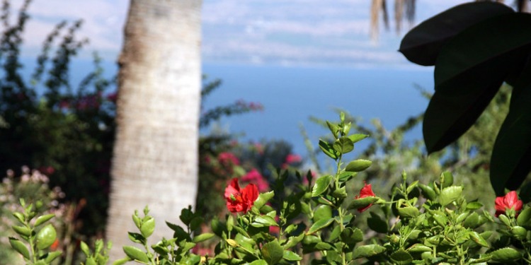 Sea of Galilee from Mount of Beatitudes, Israel