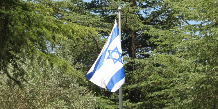 Israeli on a flagpole waving in the air amongst tall pine trees.