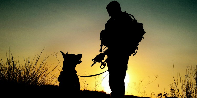 Shadow of a soldier with his dog.