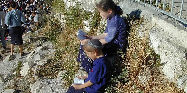 children praying by the Western Wall. Learn lessons from Leviticus