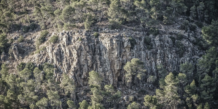 Aerial view of Forest of the Martyrs.