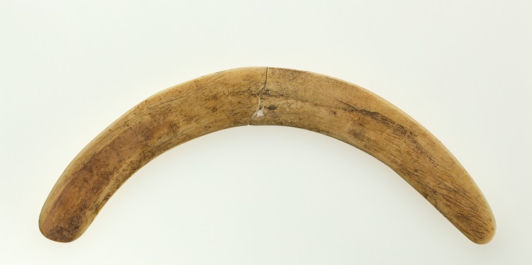 A wooden boomerang against a white background.