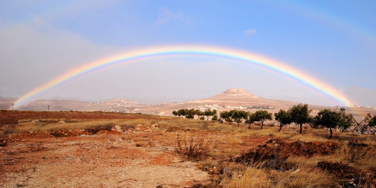 A desert landscape with a rainbow over it.