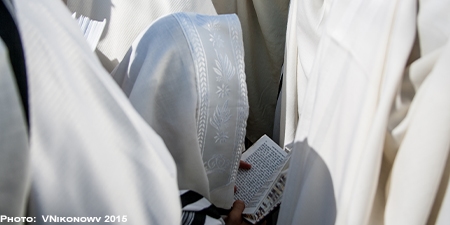 Jewish man wearing prayer shawl holds and reads the Torah. 