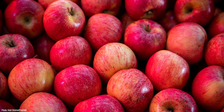 A Bunch of red apples