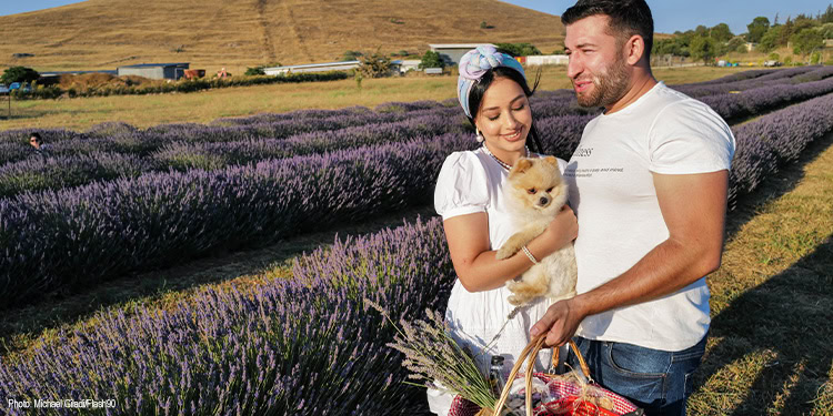 A couple and their dog going for a picnic