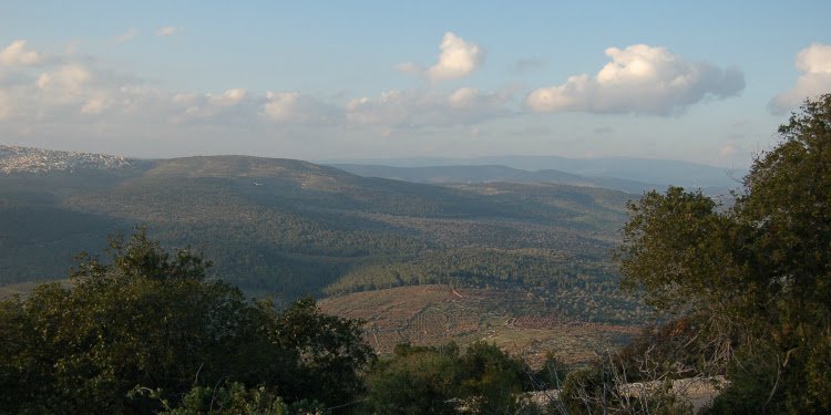 The hiking view from Mount Tabor.