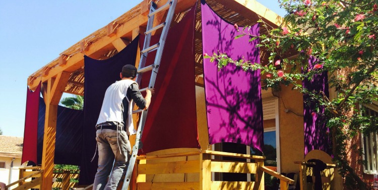 Israeli man building a sukkah