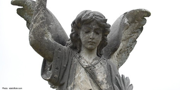 Close up image of the top half of an angel statue.