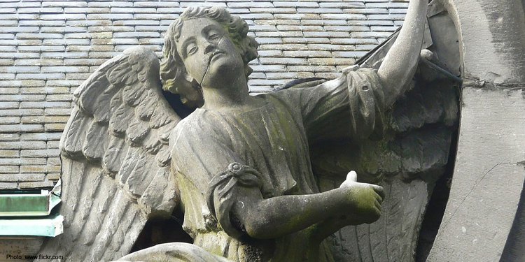 Side profile of an angel statue.