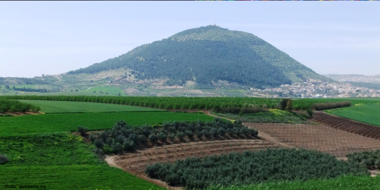 Aerial view of a grass field with patches of dirt and a huge grassy hill in the background.