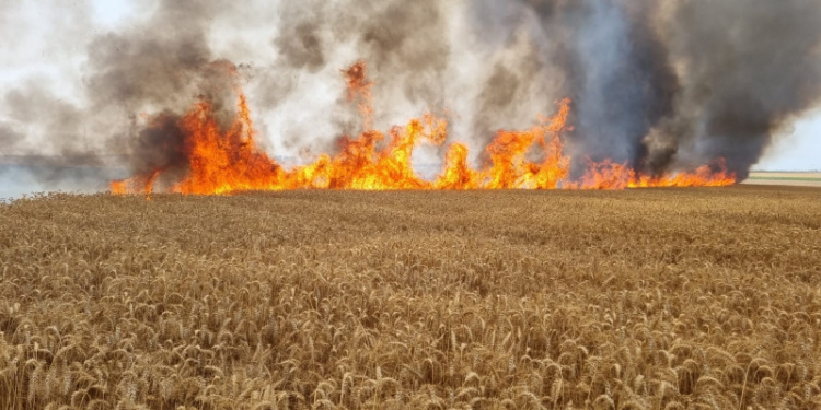 Fire started by terror balloons, May 2021