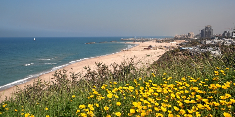 Skyline and coastline of Ashkelon
