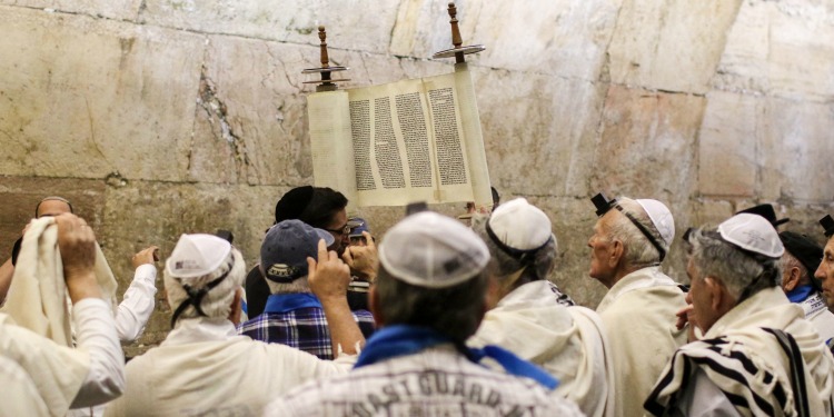 Several male Holocaust survivors at the Western Wall with a scroll.