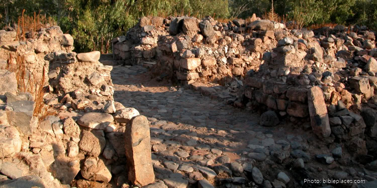 Ancient ruins and archaeological site with stone walls and pathways, representing historical and cultural heritage.