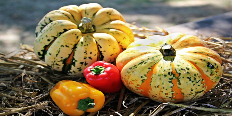 Two gourds and two peppers sitting on hay.