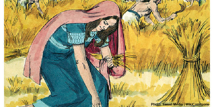 Ruth harvesting wheat from the fields. 