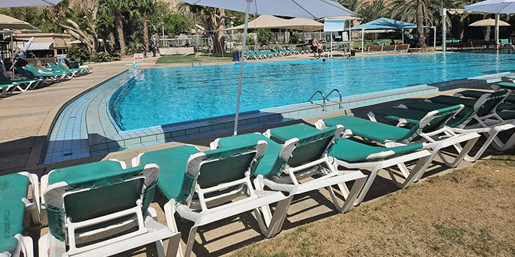 Chairs sitting by the poolside