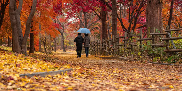 Couple walking in the part down a path covered in autumn leaves