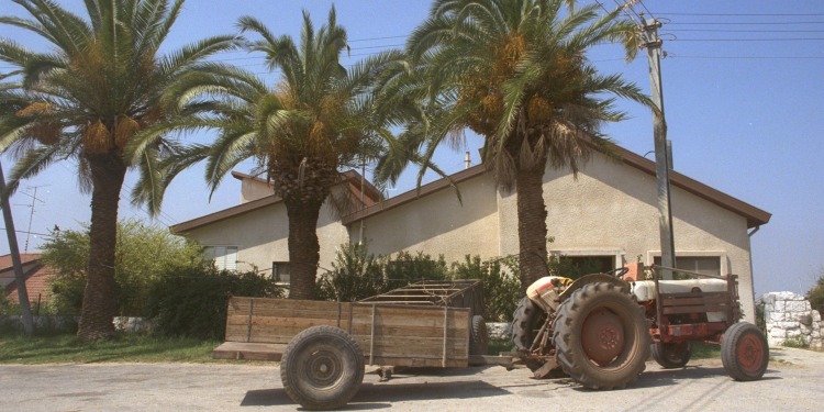 Tractor and palm trees in Moshav Beit Hanan