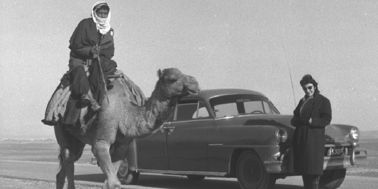A camel and a car at the crossroads in Israel's Negev Desert, 1959.
