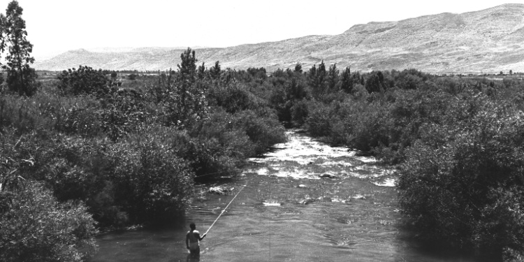 Jordan River in the Galilee, 1955