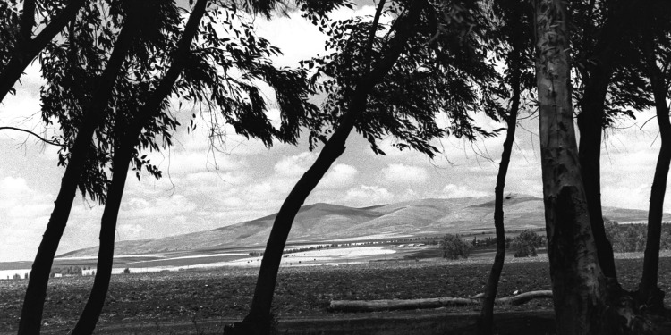 Givat HaMoreh, 1951