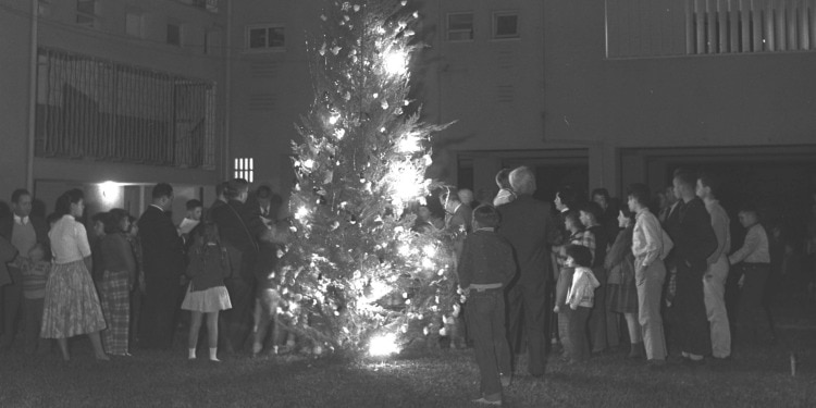 Several people gathered outside on a lawn around a lit Christmas tree.