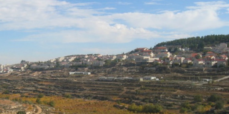Wide image of a landscape with greenery and homes.