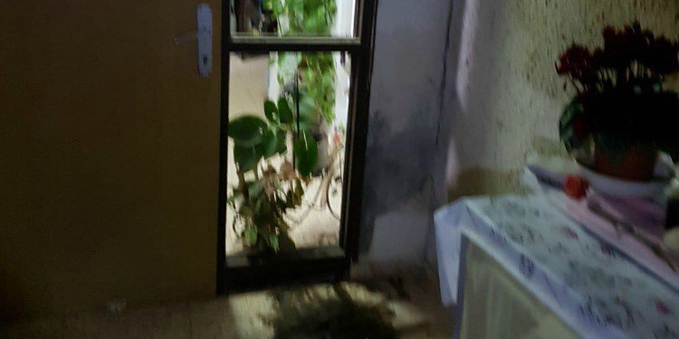Blurry image of the front door of a home with a plant in the window.