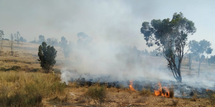 image of fires in southern israel due to terrorist arson balloons