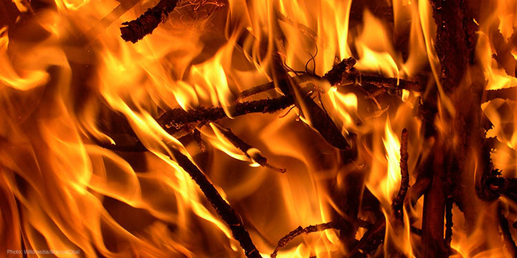 Flames burning