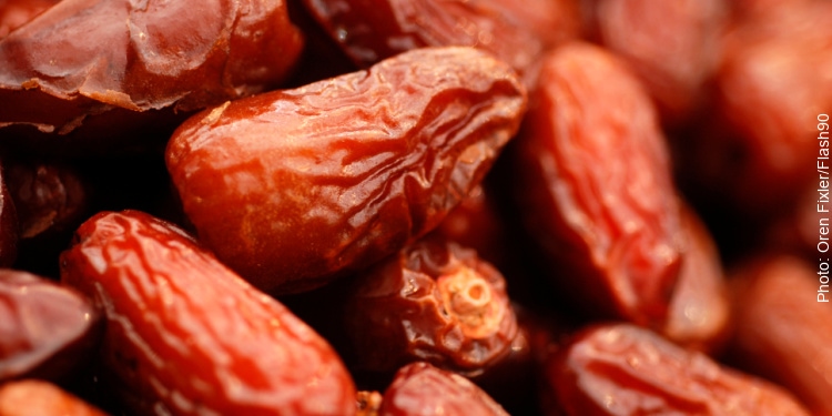 Close up of dates at Mahane Yehuda Market in Jerusalem.