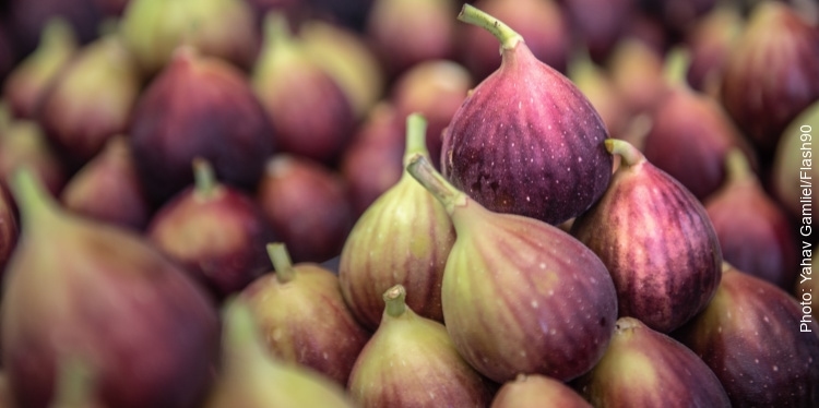 Close up of figs on sale in Carmel Market, Tel Aviv.