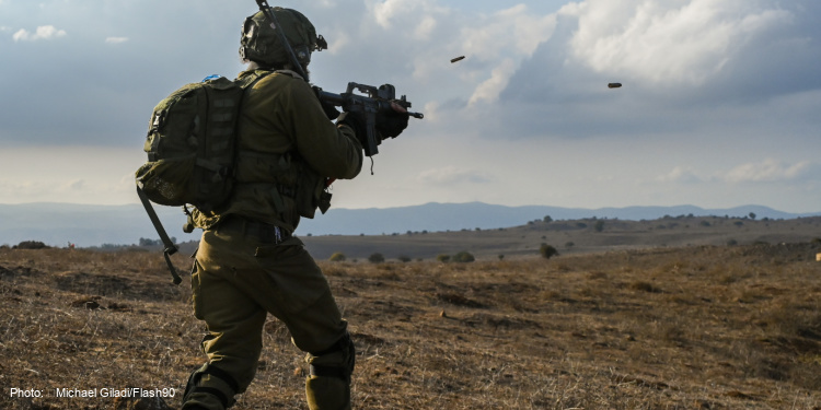 Israeli reserve soldier, military training, northern border