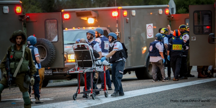 Terror, attack on Israel, wounded