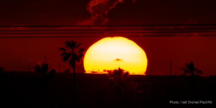Sunset with a large, glowing sun setting behind silhouettes of palm trees and power lines, creating a dramatic and peaceful scene reflecting the end of the day.