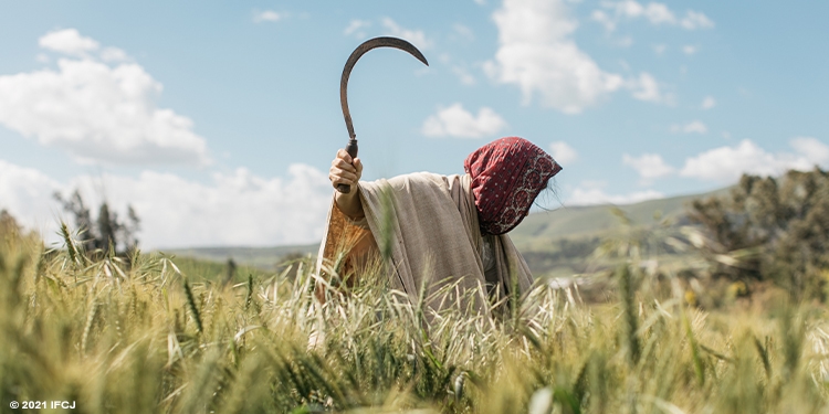 Woman harvesting in a field on a bright cloudy day.