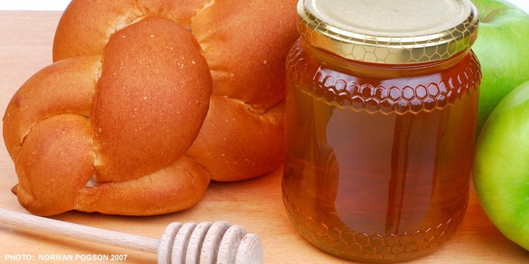 Close up image of Challah, a jar of honey, and green apples.