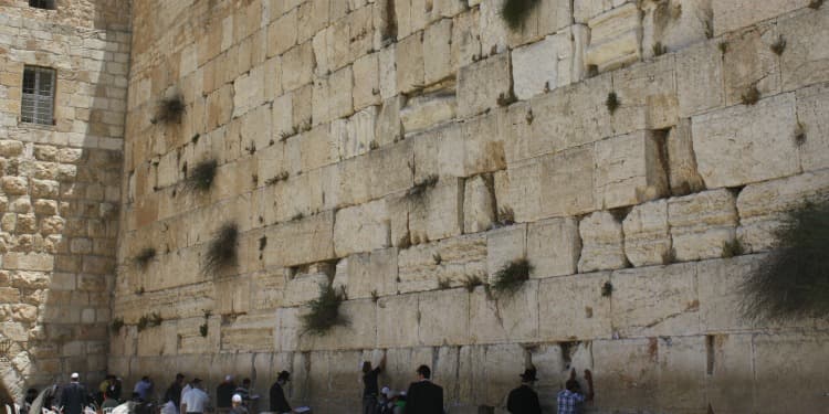 Wide image of people praying at the Western Wall.