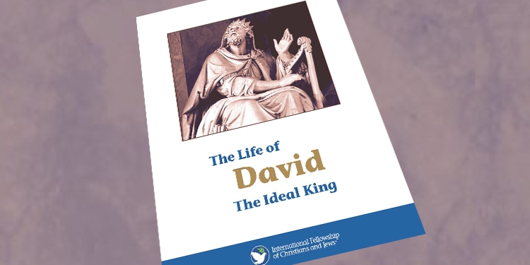 The Life of David, the Ideal King booklet against a gray, purple background.