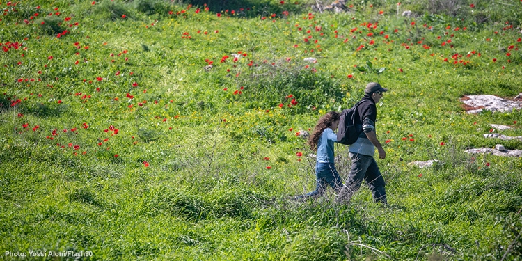 Man and child walking through a grass field with red flowers in it.